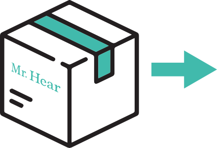 The hearing systems are immediately prepared for dispatch.